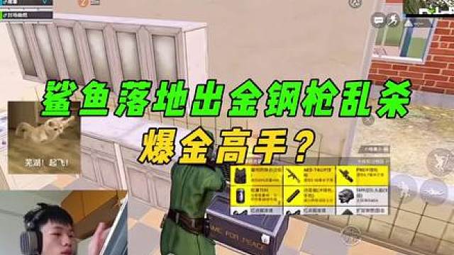 鲨鱼和队友合作拿下p城，决赛圈靠队友成功吃鸡