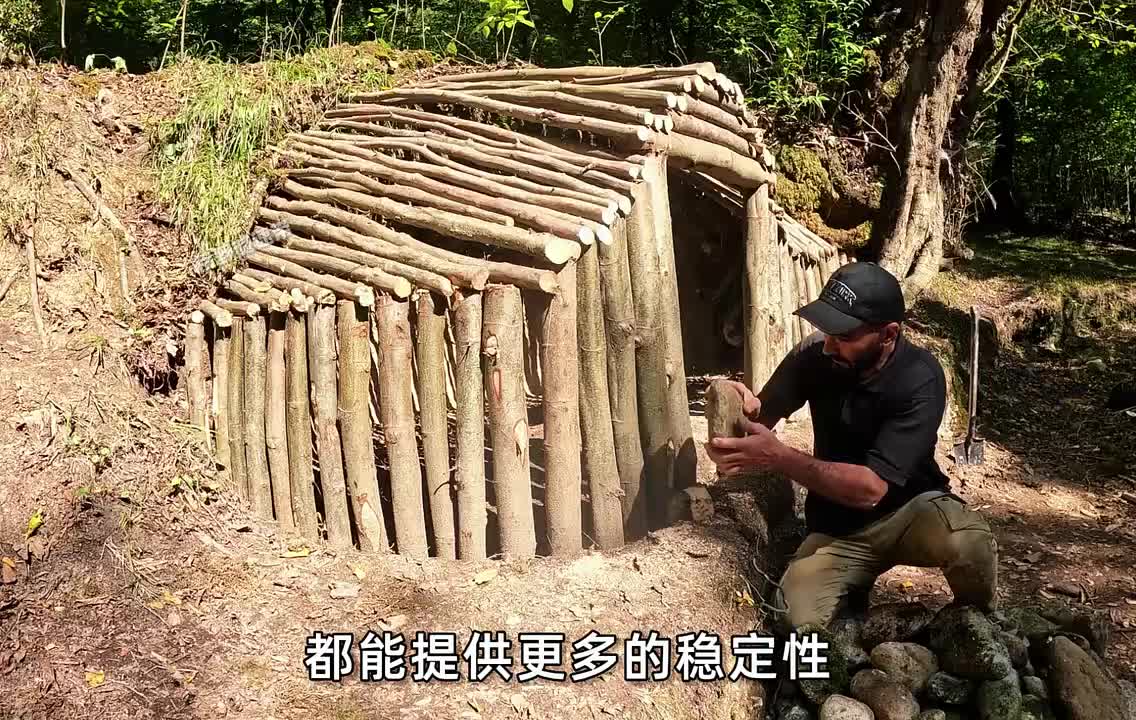 隐藏在斜坡中的庇护所，完美隐藏在森林之中。