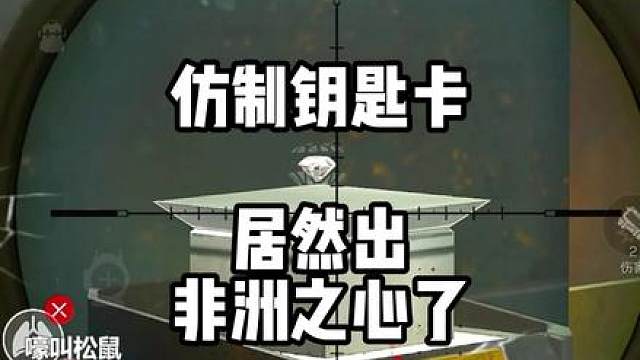 谁敢信，仿制钥匙卡居然出非洲之心！！！