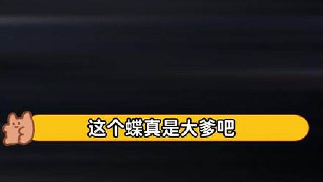 对面：什么叫我舔的包复活了？！