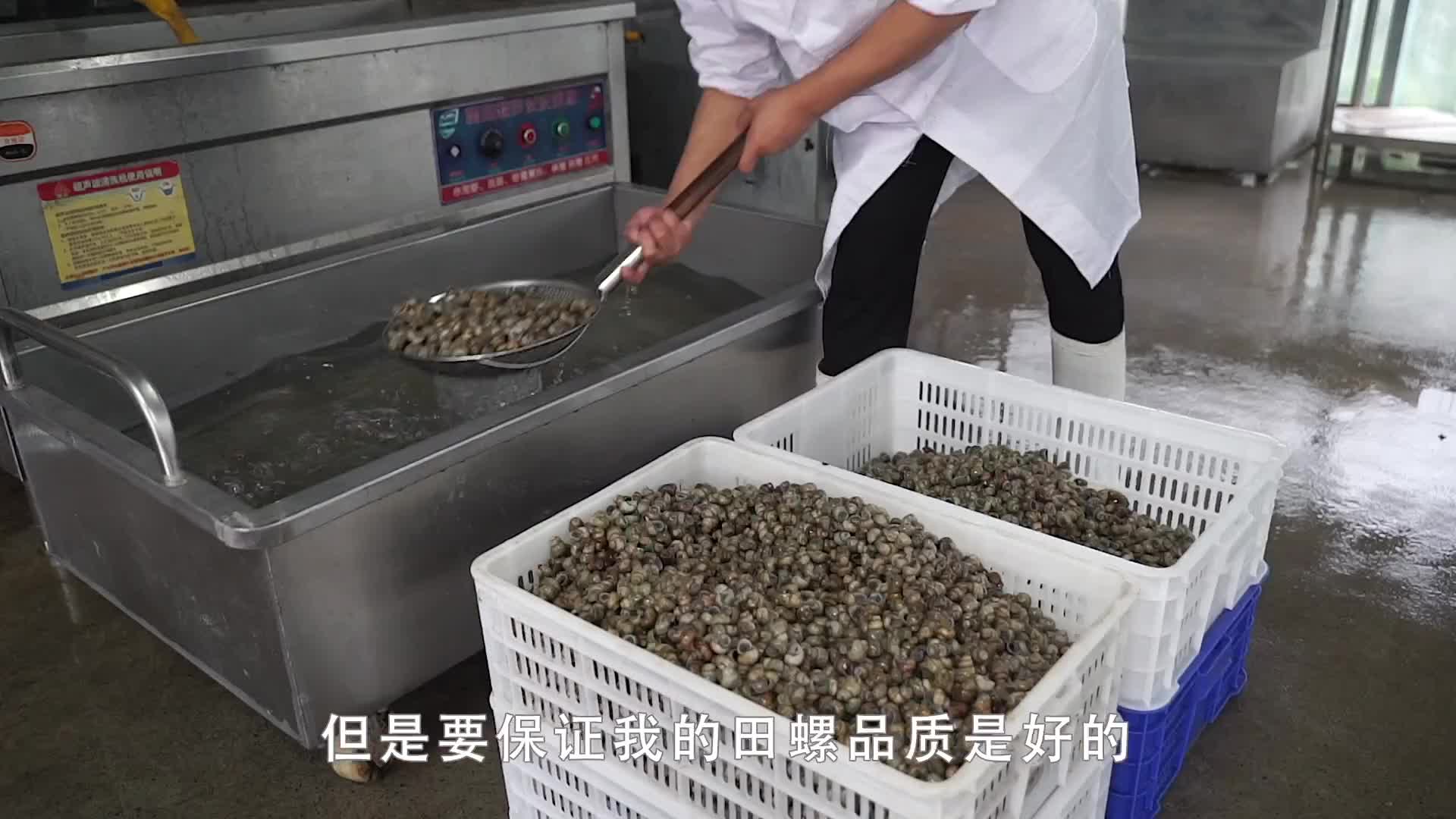 湖北大哥用牛骨高汤炒田螺，1天最少2000斤夏季1天做3吨