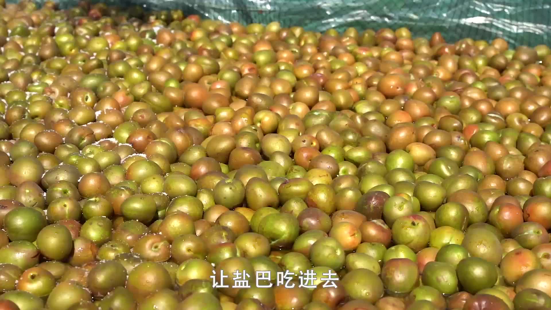 福安大叔用油奈做果干40年，草木灰打蜡，1坑泡10000斤，7斤晒1斤