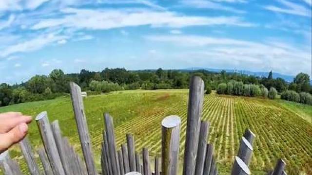 沉浸式跑酷……