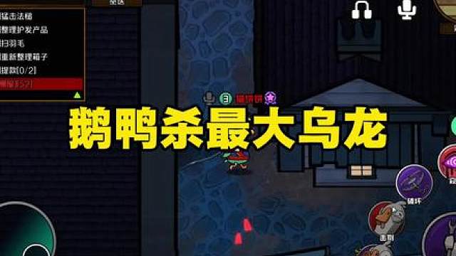 这是我的领头鹅标志！！