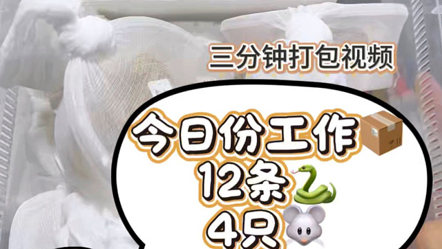 打包发货蛇和鼠