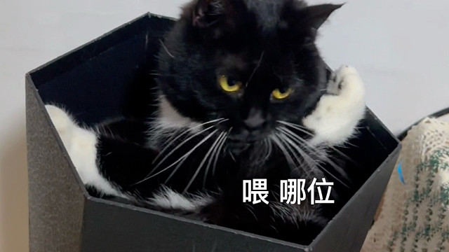 天哪盒子里长毛喽