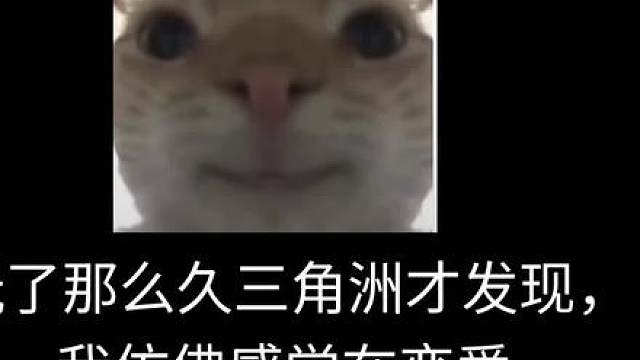 三角洲行动搞笑