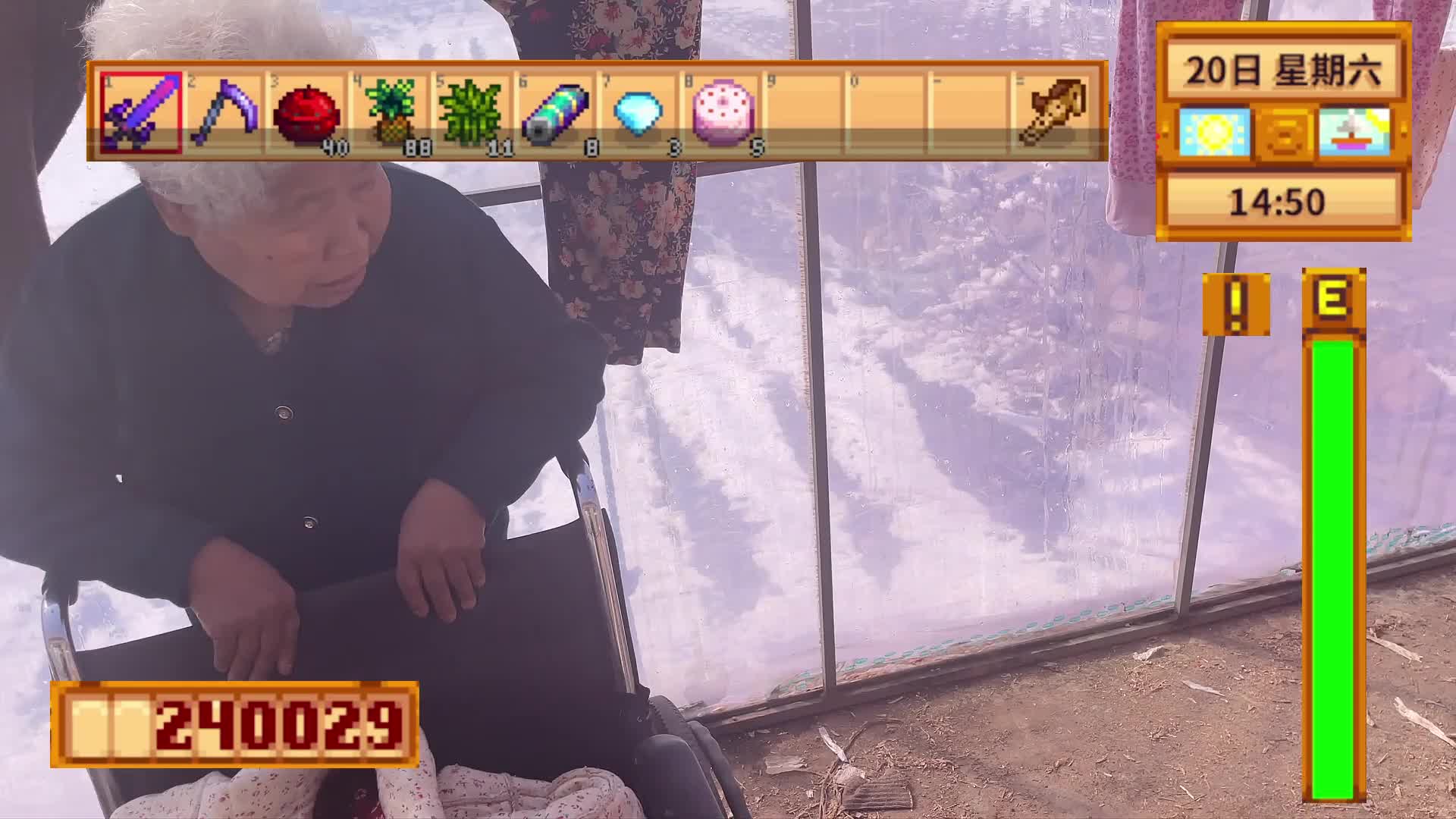 【星露谷物语】又出来溜达了！