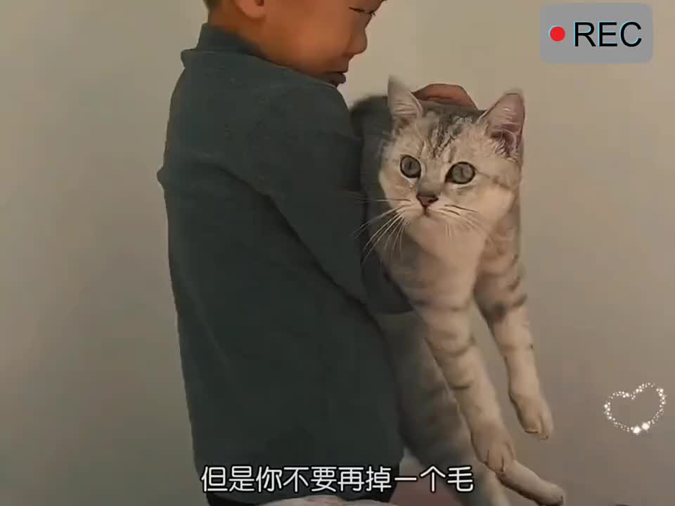 家长是孩子最好的老师，宠物就是温暖的课代