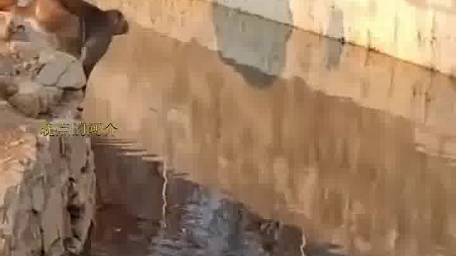 猴子我足足等了500年了