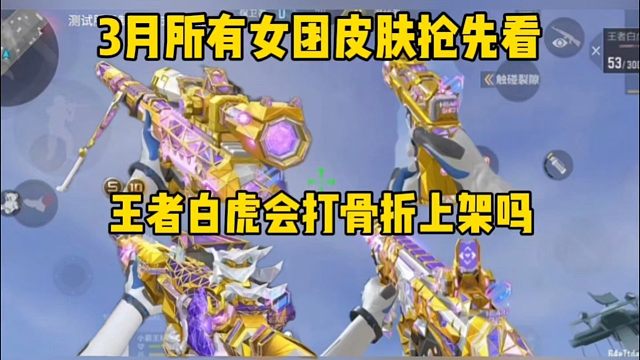 五款女团皮哪个最好看？王者白虎会打骨折进夺宝吗