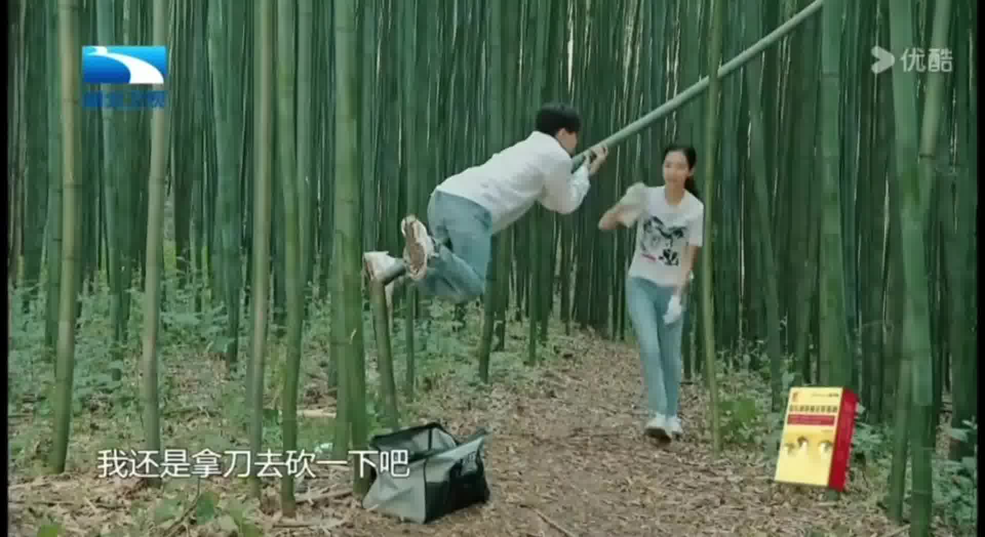 大早晨的看着就好痛，但真的忍不住狂笑啊