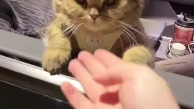 死腿快蹬啊！！  ​