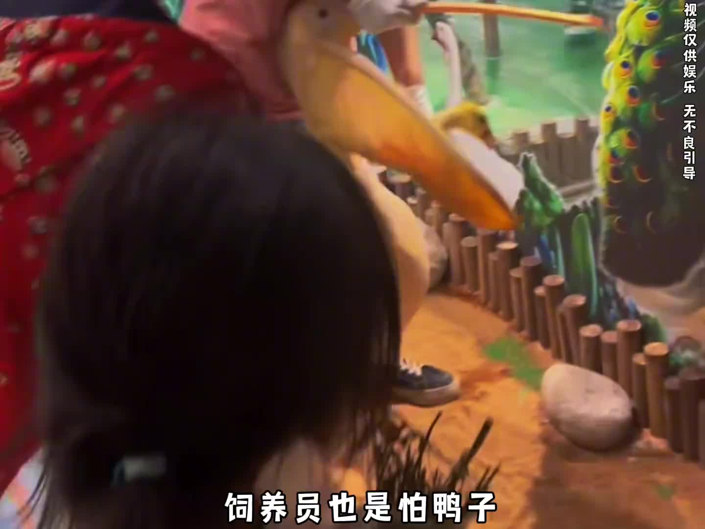 好家伙见过上班的，上班吃同事的我还是第一次见