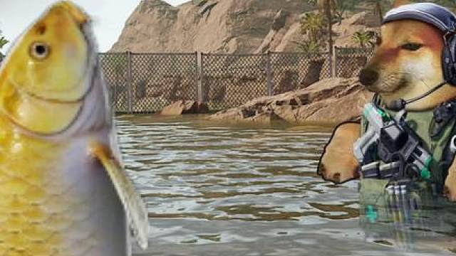 你不是会变红色吗