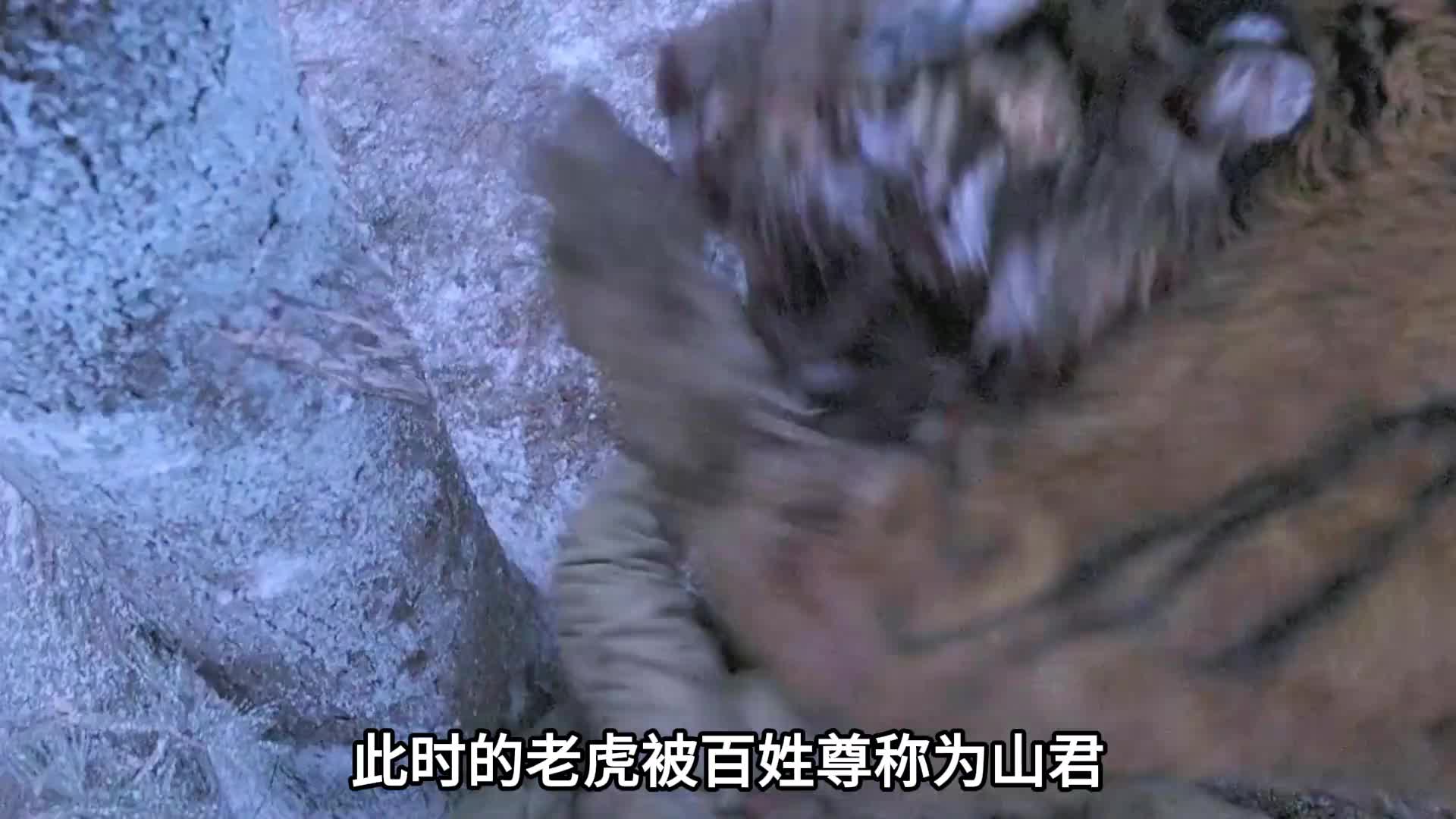 山君：就踏马你叫武松啊