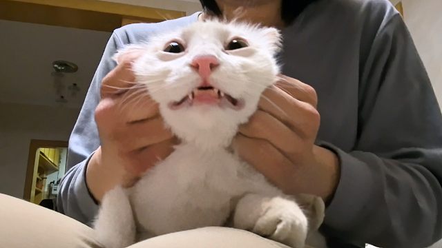 往下滑，这不关你的事
