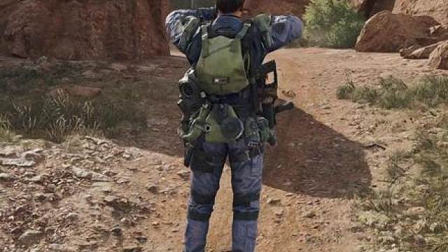 “ 保 险 日 记 ”