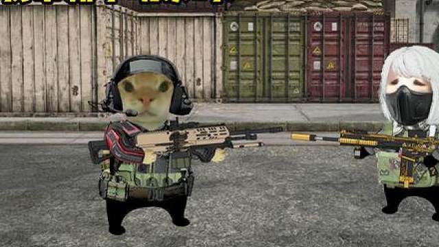 当我带新手时和新手时的我