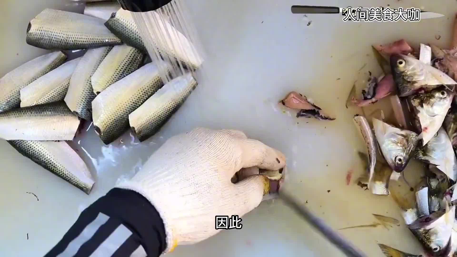 全身布满小软刺的黄鱼做成刺身你敢吃吗