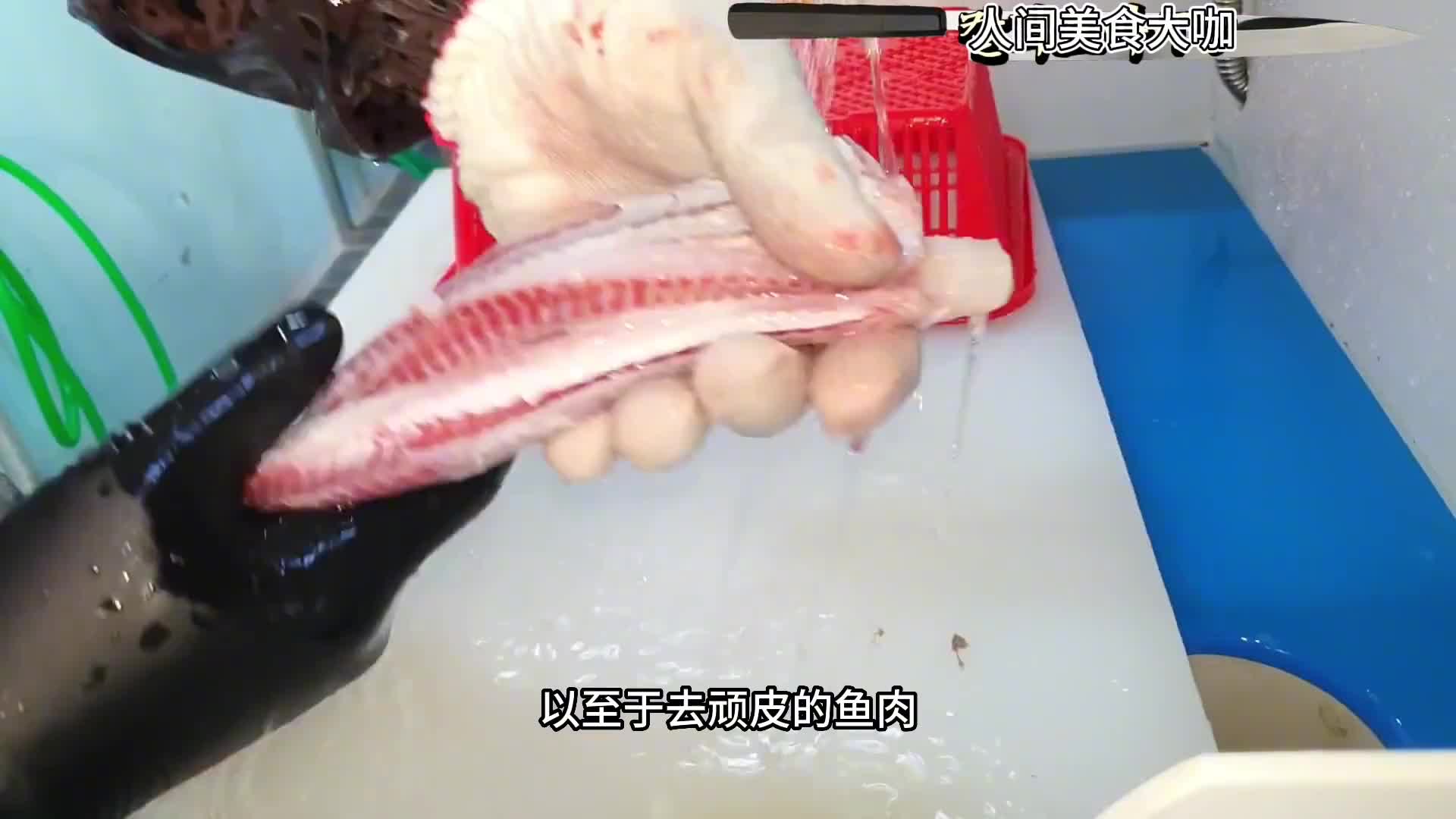 虎纹猫鲨是国内为数不多的可食用鲨鱼，做成刺身是最合适的