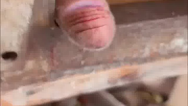 有哪位朋友能认出这东西是啥不？