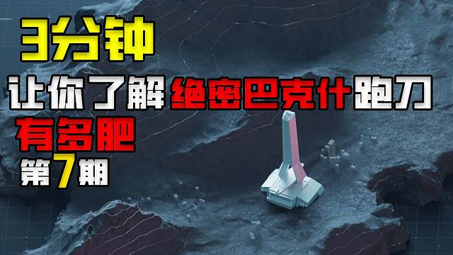 3分钟让你了解绝密巴克什跑刀有多肥 7