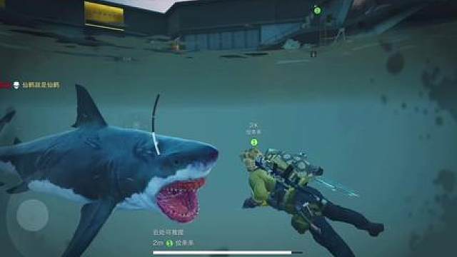 举头望明月，低头思榨菜