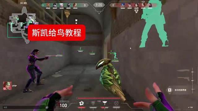 不收徒
（蕾娜第一视角已发 在主页第一条）