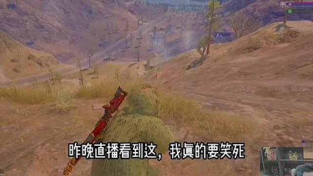 《山顶仪仗队》