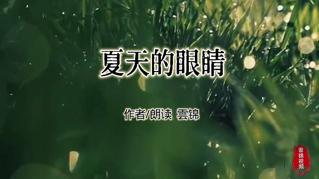 【夏天的眼睛】作者 雲锦