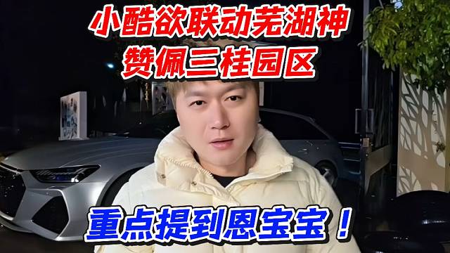 小酷欲联动芜湖神赞佩三桂园区！重点提到恩宝宝