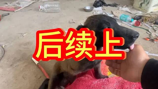 后续上