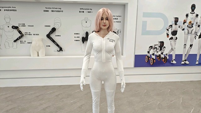 人形机器人
