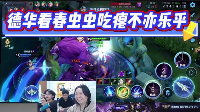 德华看春虫虫吃瘪不亦乐乎