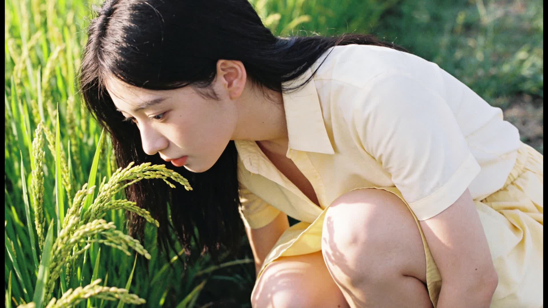 高品质音乐欣赏—稻香