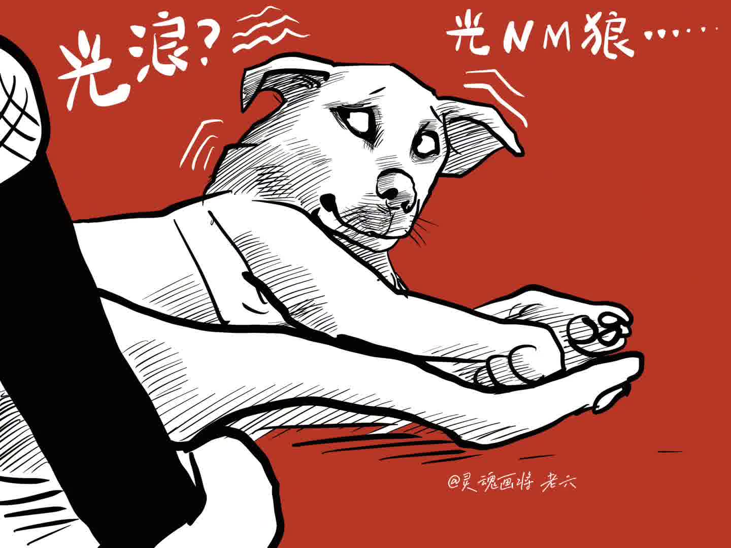 狂狼没有，狂犬很快就会有