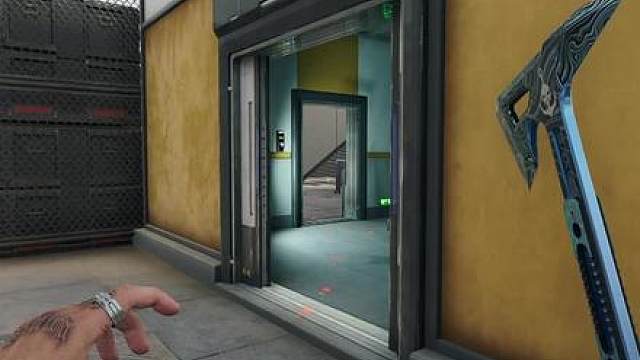 请选择你的鼠鼠宝贝