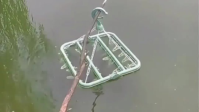 这也有点太高调了吧