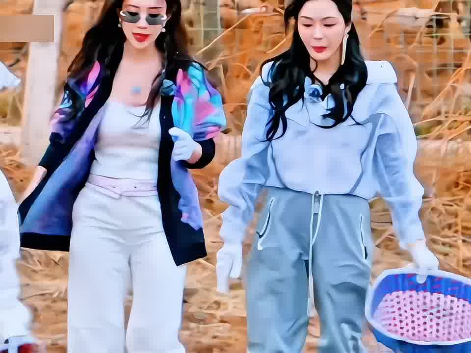 敖瑞鹏用牛粪投篮，一不小溅到孟姐嘴里
