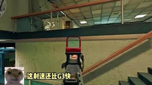 谁是最强鼠王？！