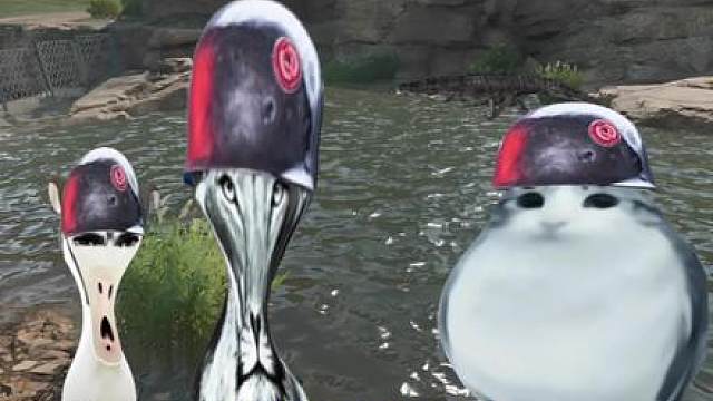 顺手牵羊，所以狮子的装备去哪了