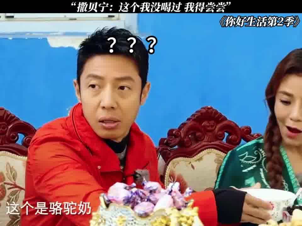 撒贝宁：没喝过 我先帮你尝尝