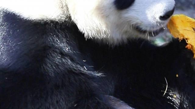 一起看看奶爸给星愿准备了什么早餐吧！