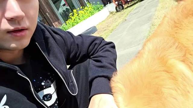 长大啦，又要来一个新伙伴了