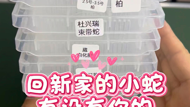 打包小蛇回新家了