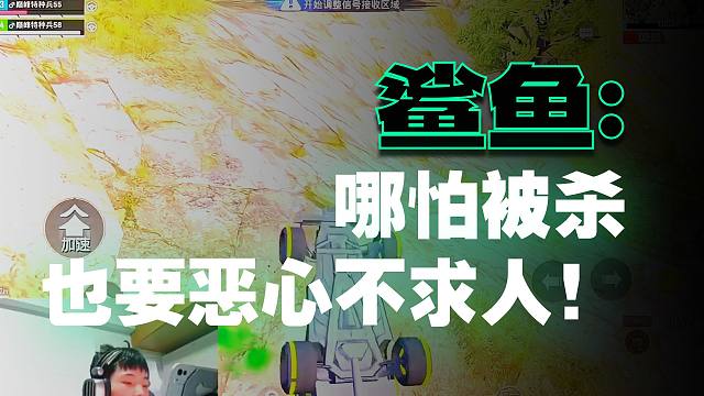 鲨鱼撞车不求人，拉扯两年半惨遭拳补？