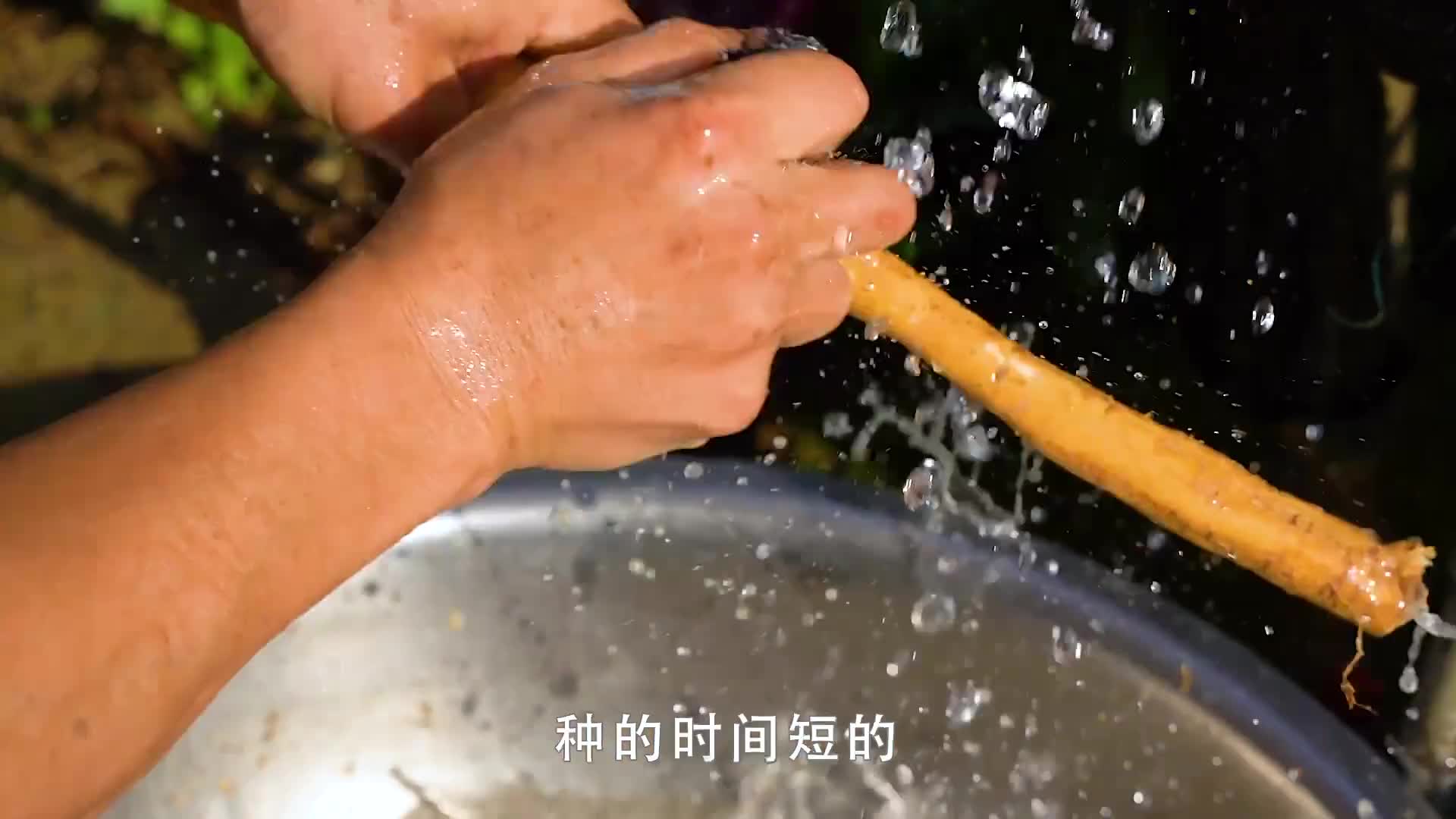 身家千万的大佬转投农产品7年，3000亩牛大力能产2亿价值，真厉害