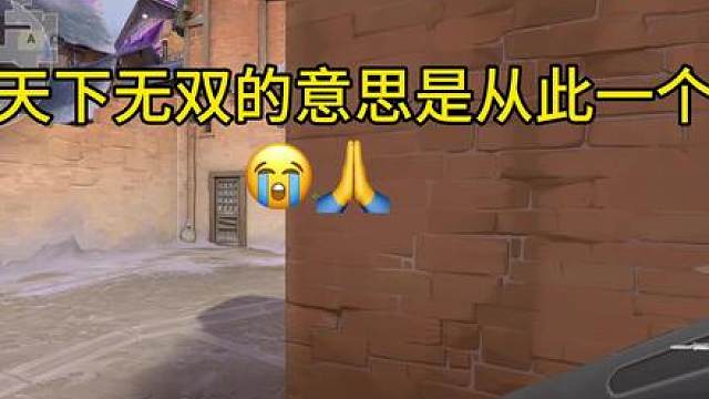 自幼握剑之时我便知道 自己会是那剑道魁首 江湖中的天下第一