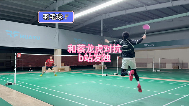 和蔡龙虎对抗b站独发